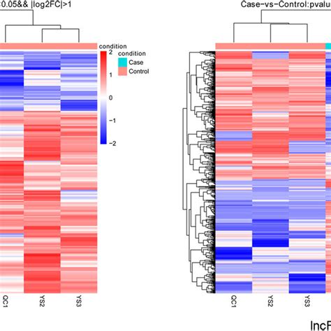 Mrna Lncrna Co Expression Network Red Triangle Represents Upregulated