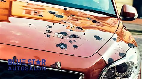 Does Ppf Protect Against Bird Droppings Blue Star Auto Salon