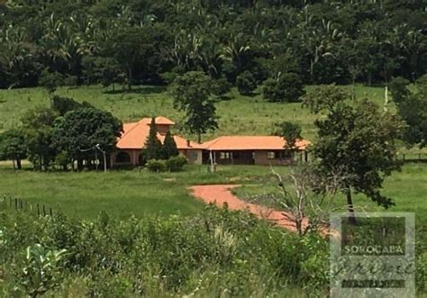 Fazenda Na Rodovia Mt Zona Rural Itiquira Mt Id