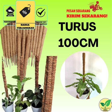 Jual Turus Ajir Penyangga Tanaman Bunga 100 Cm Bahan Bambu Shopee