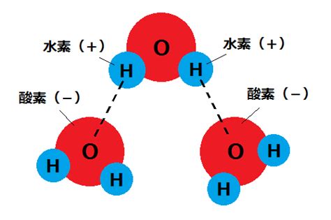 表面張力とは？原理を子供にもわかりやすく簡単に解説。