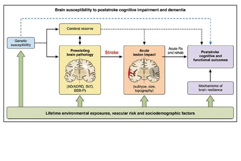 Cognitive Impairment After Ischemic and Hemorrhagic Stroke ...