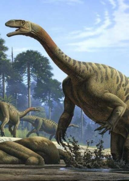 Plateosaurus Walking With Dinosaurs