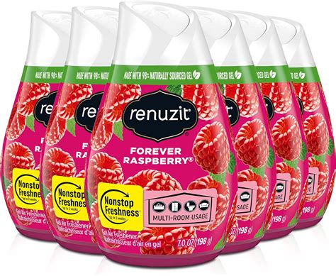 Renuzit Adjustable Air Freshener Gel Forever Raspberry Ounces