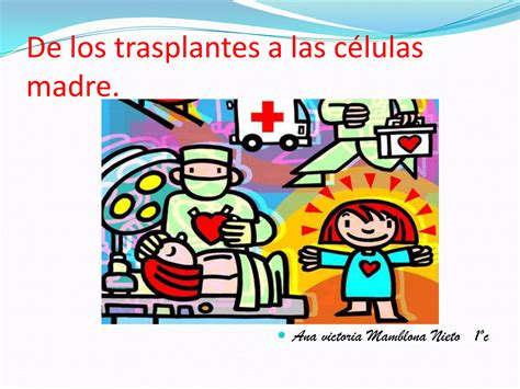 De Los Trasplantes A Las Celulas Madre Ppt Descarga Gratuita