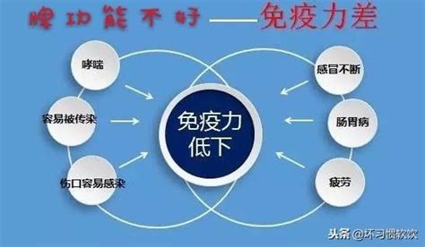 養脾，護脾，健脾，5個脾臟的「守護神」，每天最少按5分鐘 每日頭條