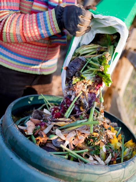 How To Compost Kitchen Waste Hgtv