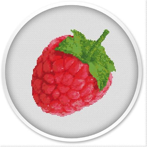 Raspberry Cross Stitch Pattern Free Shipping Cross Stitch Etsy