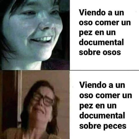 Viendo A Un Oso Comer Un Pez En Un Documental Sobre Osos Viendo A Un