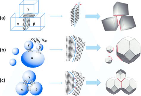 Densification And Grain Growth During Sintering For The Samples Made