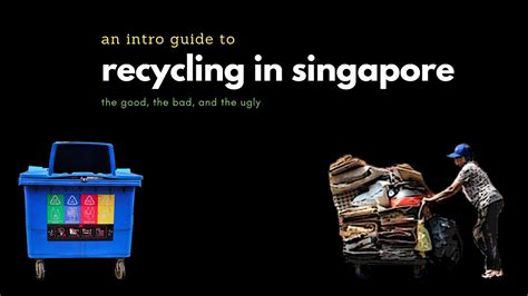 An Intro Guide To Recycling In Singapore Youtube