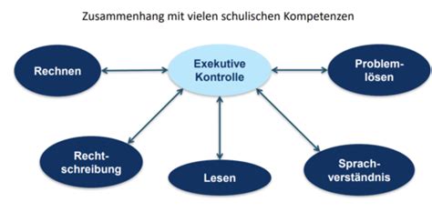 2 Exekutive Kontrolle Schule Karteikarten Quizlet