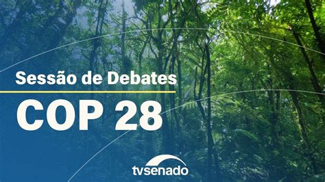 Ao Vivo Senado Discute Os Desafios E Propostas Do Brasil Na Cop