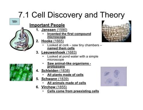 7.1 Cell Discovery and Theory