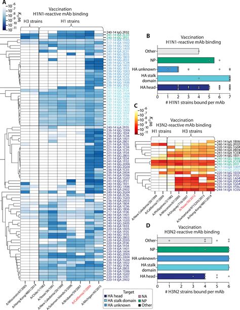 Preexisting Immunity Shapes Distinct Antibody Landscapes After