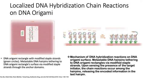 Fast And Compact DNA Logic Circuits NextBigFuture