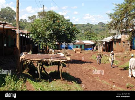 Haro Village Ethiopia A Typical Ethiopian Rural Scene Stock Photo Alamy