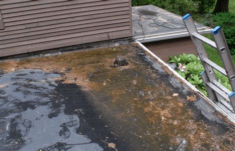 Flat Roof Repair Causes Of Leaks Repair Costs And Diy Fixes