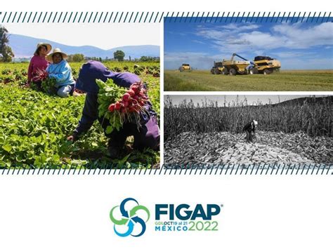 EXPO PECUARIA B B DE AMÉRICA LATINA El sector ganadero debe concentrarse en conocer las