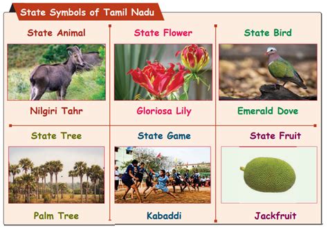 Symbols of Tamil Nadu