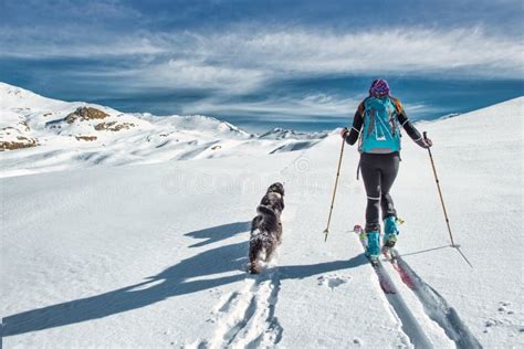 Due Cani Con La Sua Amante Da Sci Alpinista Sull Altopiano Della Neve