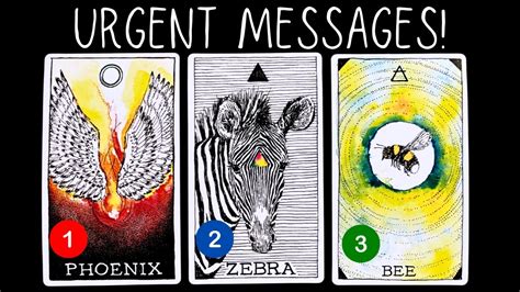 Urgent Messages From Your Spirit Guides Pick A Card Tarot Card