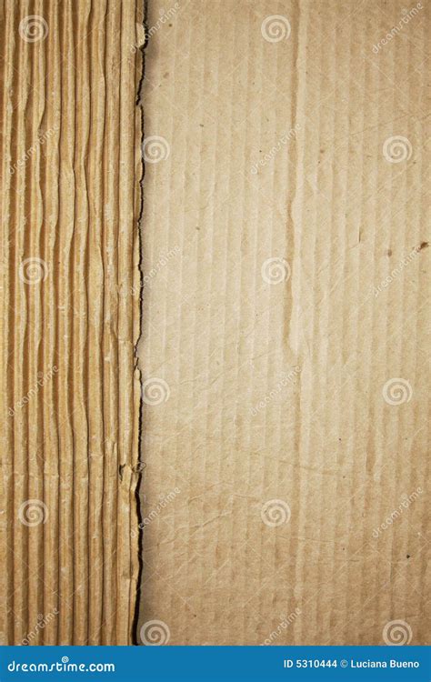 Ripped Cardboard Stock Photo Image Of Paper Chart Distressed 5310444