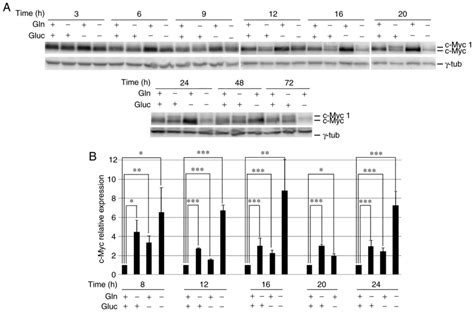 Asparagine Sustains Cellular Proliferation And Cmyc Expression In