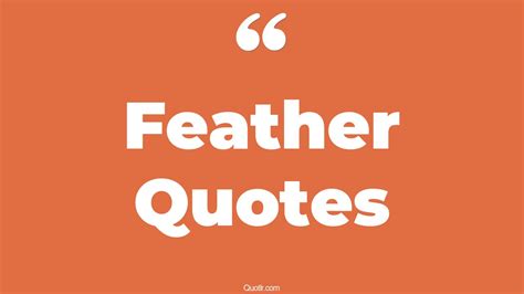 Stunning Feather Quotes That Will Unlock Your True Potential