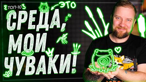 Топ-10 настольных игр с жабами и лягушками, мои чуваки! - YouTube