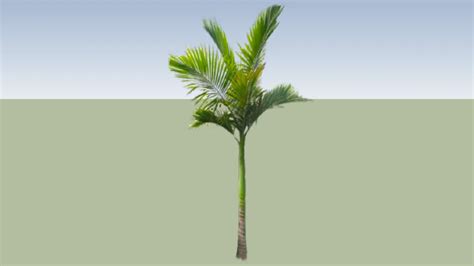 Palm Tree 3d Warehouse 53 Off Gbu