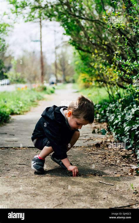 Boy Picking Up Sticks On Pavement Stock Photo Alamy