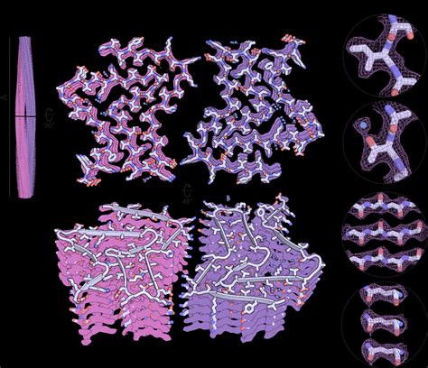 Overview Of E46k Cryo Em Structure A E46k Fibril Side View