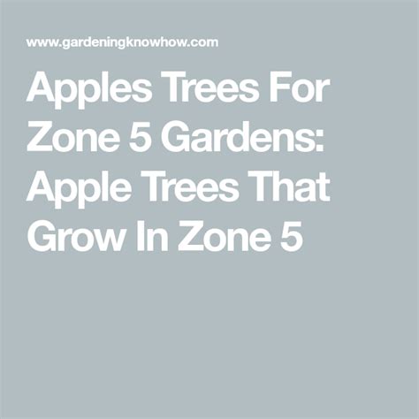 the text apples trees for zone 5 gardens apple trees that grow in zone 5