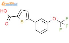 5 3 Trifluoromethoxy Phenyl Thiophene 2 Carboxylicacid 1261747 75 4