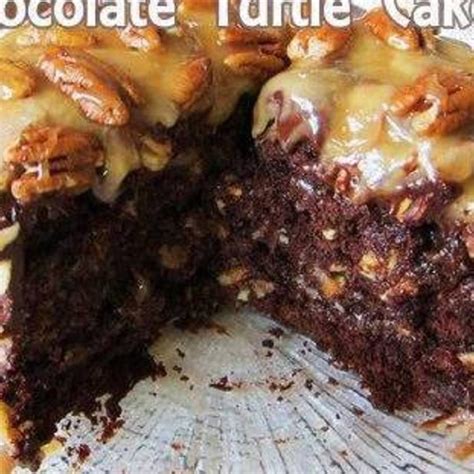 Easy Homemade Chocolate Turtle Cake Recipe Chocolate Turtle Cakes