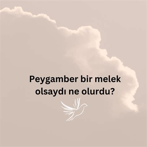 Peygamber Bir Melek Olsayd Ne Olurdu Ne Demek Z T Anlam E Anlam