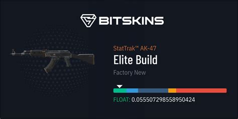 Stattrak Ak Elite Build Factory New Cs Item Buy Now On