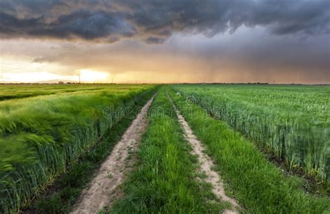 Nuvens De Tempestade Sobre O Campo E A Estrada Imagem De Stock Imagem