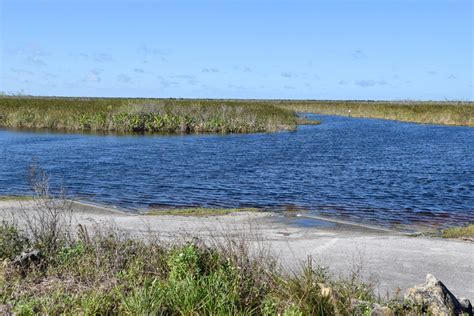 Tour of Loxahatchee National Wildlife Refuge - Not In Jersey