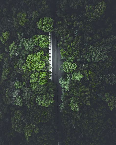 HD wallpaper: road, tree, forest, jungle, highway, drone view, dark ...