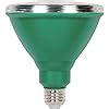 Westinghouse 3314900 100 Watt Equivalent PAR38 Flood Green Outdoor