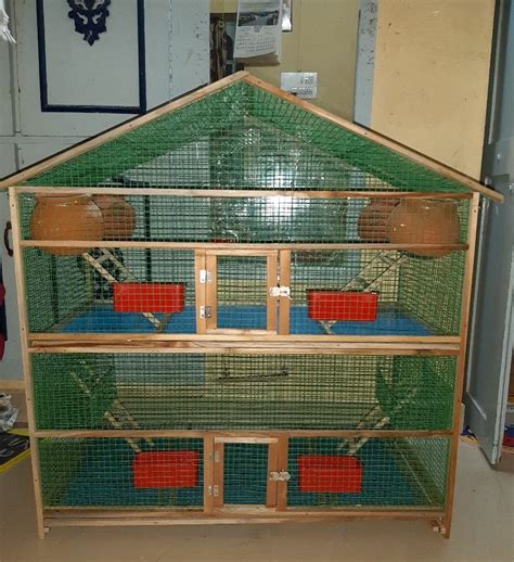 Budgie Bird Cage for Home at ₹ 5000/piece in Nellore | ID: 21727831988