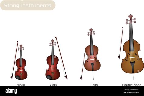 Familia Viola Im Genes Vectoriales De Stock Alamy