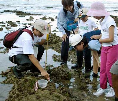Adventures With The Naked Hermit Crabs First Naked Hermit Crabs Walk At Sentosa