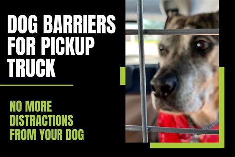 6 Best Dog Barriers For Pickup Truck Reviews In 2025