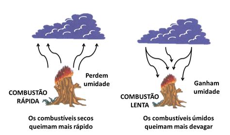 Incêndios Florestais Aula 4 Fatores que influenciam na propagação