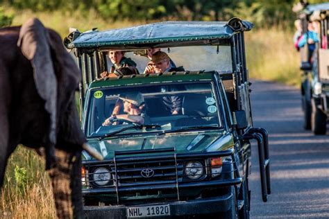 Magnificent Hippo And Croc Boat Safari St Lucia 2024