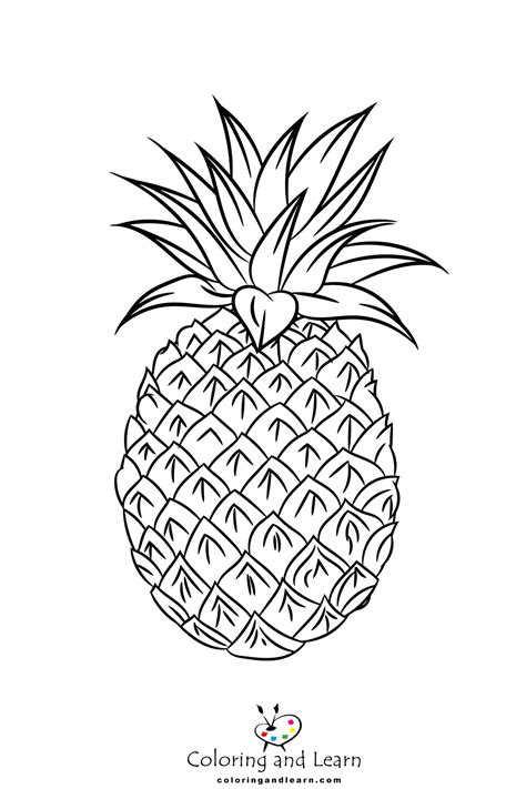 Pineapple Coloring Pages (FREE) (2024) - Coloring and Learn