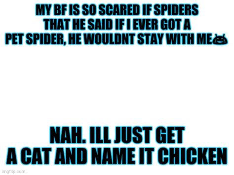 Arachnophobia Imgflip